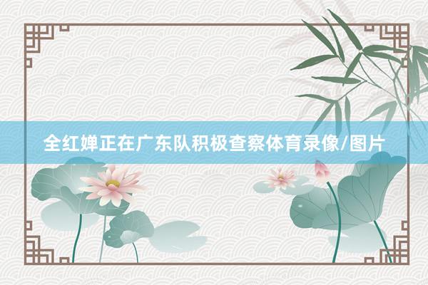 全红婵正在广东队积极查察体育录像/图片