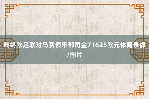 最终欧足联对马赛俱乐部罚金71625欧元体育录像/图片