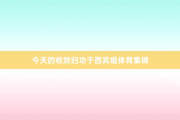 今天的收效归功于西宾组体育集锦