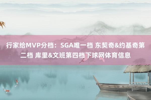 行家给MVP分档：SGA唯一档 东契奇&约基奇第二档 库里&文班第四档下球网体育信息