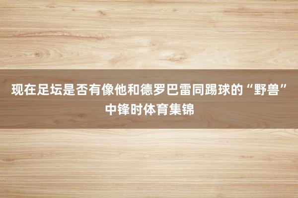 现在足坛是否有像他和德罗巴雷同踢球的“野兽”中锋时体育集锦