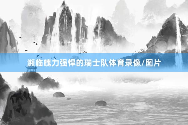 濒临魄力强悍的瑞士队体育录像/图片