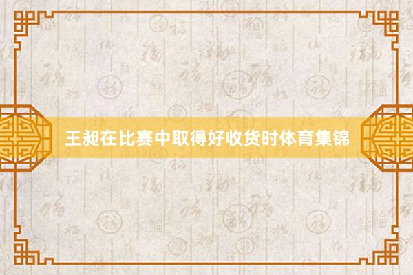 王昶在比赛中取得好收货时体育集锦